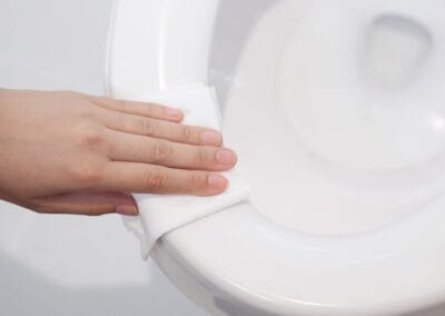 higienizante asiento inodoro