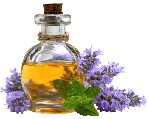 aromatizante profesional equipos cabemar home