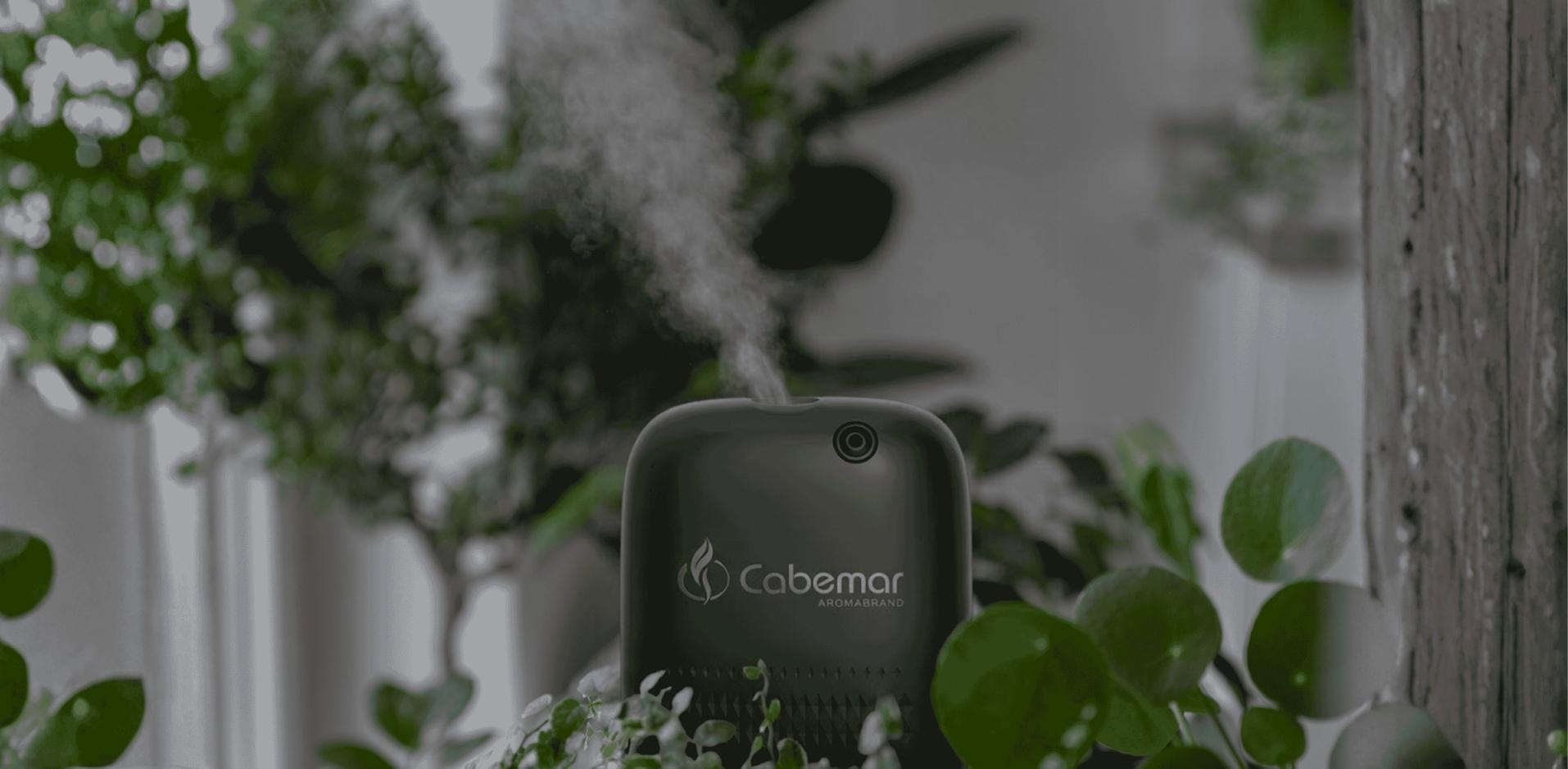 cabemarfondo